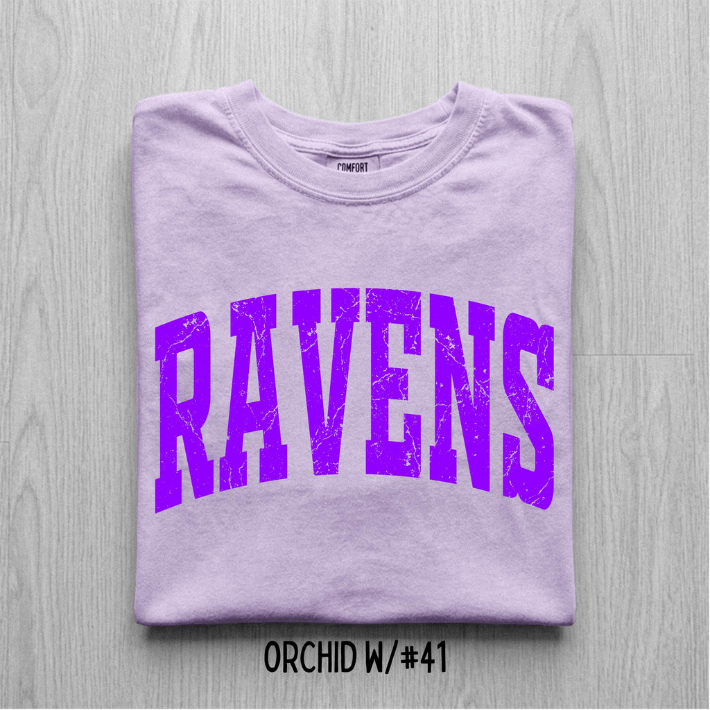 Comfort Colors Distressed Mascot T-Shirt, Custom School Logo Tee, Game Day Apparel