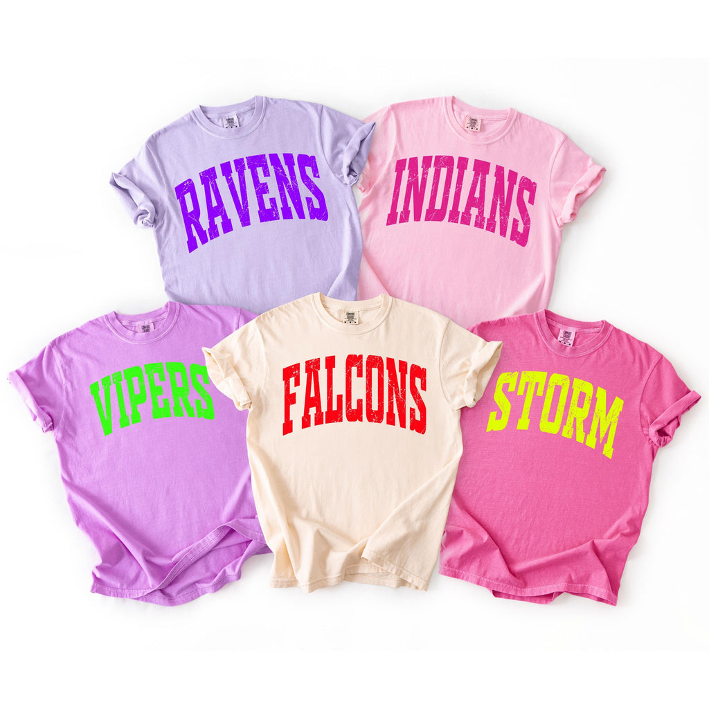 Comfort Colors Distressed Mascot T-Shirt, Custom School Logo Tee, Game Day Apparel